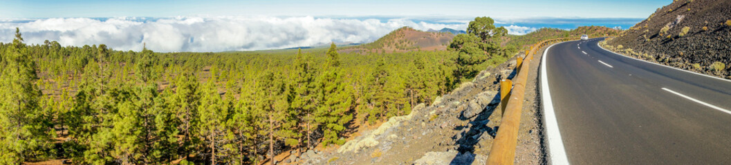 Fototapeta na wymiar Panorama-Aufnahme an der Landstraße am Fuße des Teide-Vulkans