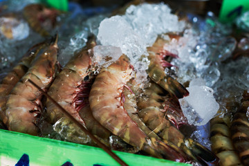 Obraz na płótnie Canvas Group of shrimp on ice bed in fresh seafood market. Fresh prawn lay on an ice.