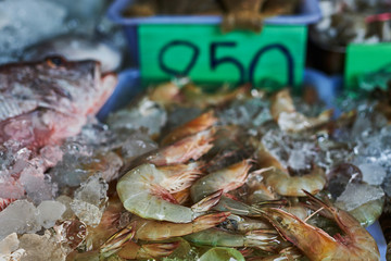 Fresh shrimps, prawns, king prawn, blue leg shrimp, giant prawn, tiger prawn  in ice in the fish market in Asia. Prawns in various  is a good source of protein. Healthy and dieting food concept..