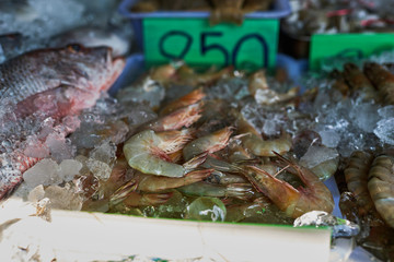 Seafood on ice at the fish market. Fresh shrimp at the market for sell.
