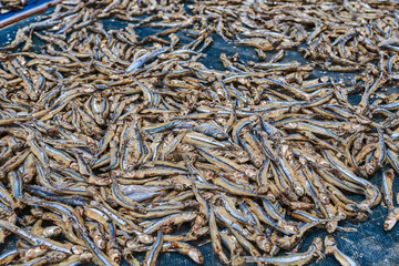 Small salted fish dried under the sun in fishing village sun dried on cloth-covered wooden frames. Traditional way of sun drying in Asia. Selective focus.