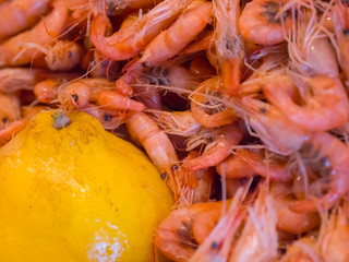 Steam shrimps buffet bar in the restaurant. Boiled shrimps buffet. Close up image of freshly steamed shrimps. Shrimps are poured in a showcase in a seafood restaurant.