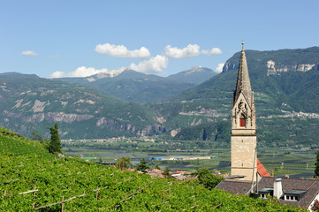 Tramin in Südtirol