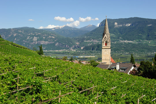 Tramin in S&uuml;dtirol