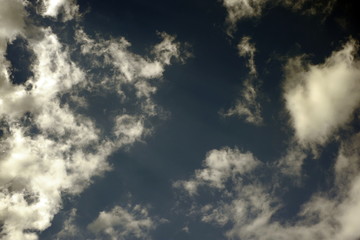 Obraz premium Village. Garden. Beautiful flowers. Summer. Autumn. August.