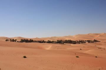 Fototapeta na wymiar Wüste und Bäume 