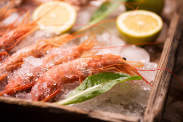 Fresh tiger prawns on ice