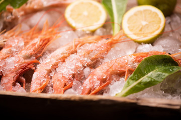 Fresh tiger prawns on ice