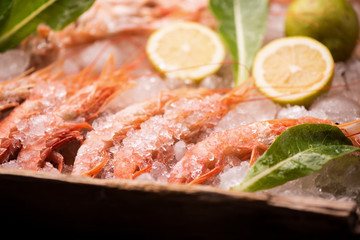 Fresh tiger prawns on ice