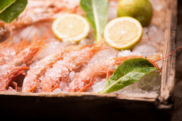 Fresh tiger prawns on ice