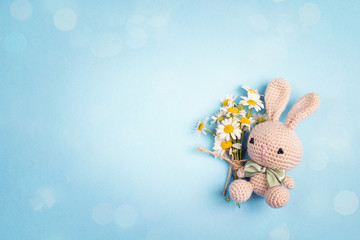 Cute toy bunny with chamomile flowers and copy space on a blue background.