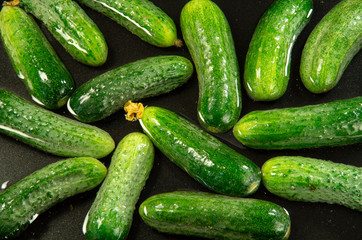 Green cucumbers in water for washing