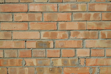 Sunny brick wall