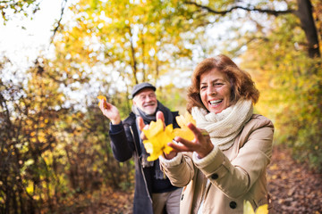 Senior couple on a walk in a forest in an autumn nature, holding leaves.