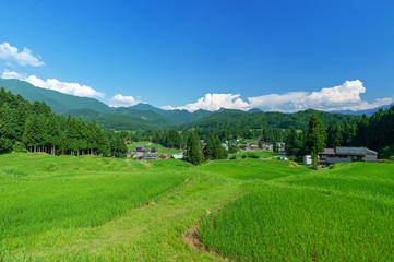 Fototapeta premium 【新潟県三条市北五百川】北五百川の棚田は粟ヶ岳の裾野に位置し、日本の棚田100選に選ばれている。