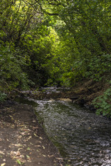Birdwood Reserve in Wellington, New Zealand