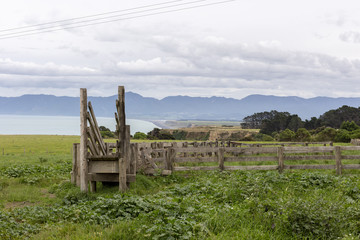 Fototapeta na wymiar Cattle loading chute in a rural area of New Zealand