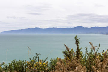 Palliser Bay, New Zealand