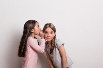 A small girl whispering something in an ear of her friend.
