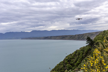Drone over Palliser Bay in New Zealand