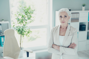 Gray-haired beautiful stylish old confident experienced business