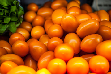 Red yellow oval tomatoes with a green salad