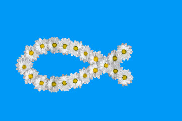 Obraz premium Fish - christian symbol, made of white daisies.