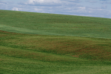 The lines of green hills create beautiful patterns like waves. Partially illuminated by the sun. Beautiful background