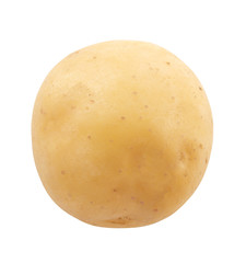 potato isolated on white background