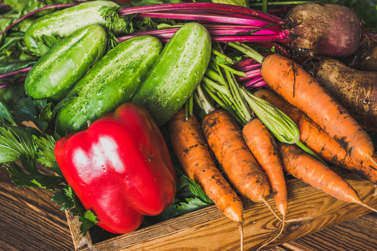 Healthy food. Assortment of farm fresh organic vegetables and garden produce on local farmer market, paleo diet with vegetarian ingredients