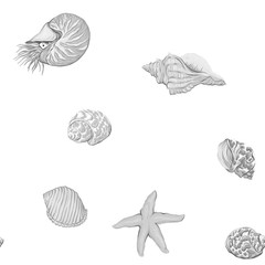 Sea world seamless pattern, background with fish, corals and shells on white background. Stock vector illustration. In monochrome gray colors