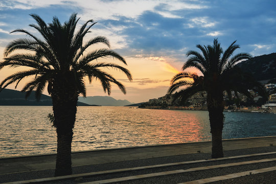 Palm trees and beach during sunset in Neum, Bosnia and Herzegovina