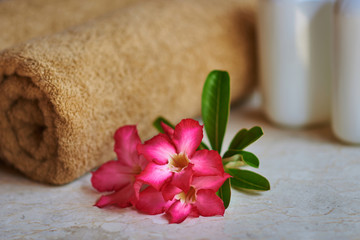 Beautiful composition of spa treatment. Spa towels and flowers. Relaxing spa resort composition. Beauty concept with spa products set.  Spa, service hotel and resort concept.