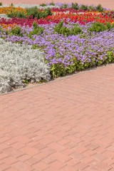 Cityscape with colorful flower bed and sidewalk