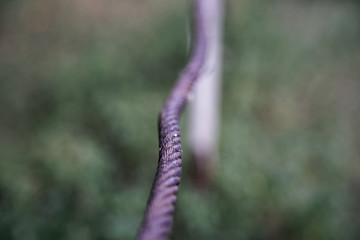 Thick steel rope close up. Bridge fence element. Detailed view. The surface of the steel cable is covered with rust.