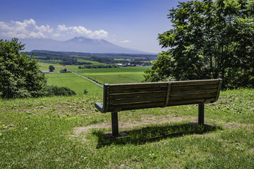 Empty long bench in sunny day with beautiful view