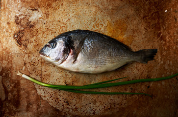 Flavored with fresh sea bass lying on a baking sheet for baking