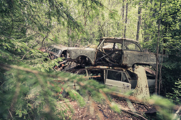 Schrottreifes Auto im Wald
