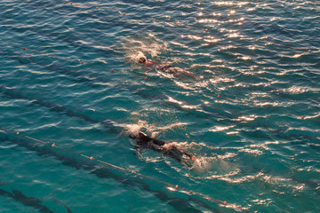 Fototapeta premium Top side view of two swimmer swimming at outdoor pool.