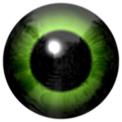 Animal eye texture with green color, black fringe and white background, eyeball texture