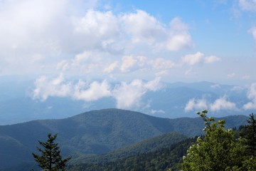 Fototapeta premium The clouds and fog on the top of the smokies.