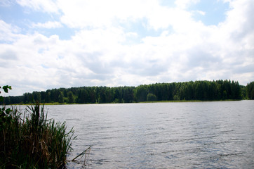 beautiful water in the pond