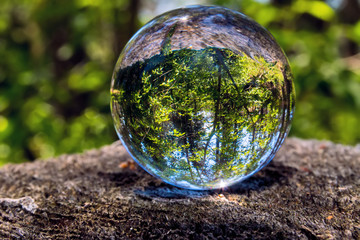 A glass ball of nature