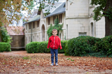 Portrait of child, boy  in autumn garden, holding leaves and happily smiling and wakling