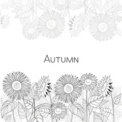 Autumn card of sunflowers. Black and white vector illustration.