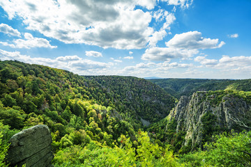 Fototapeta na wymiar Large creek from above with forest and cliffs