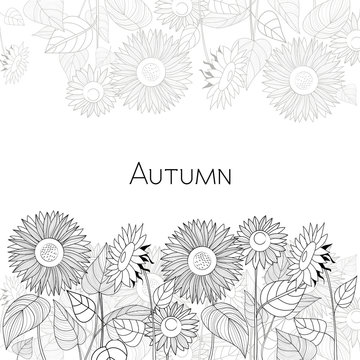Autumn card of sunflowers. Black and white vector illustration.
