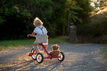 Cute toddler child, boy, playing with tricycle in backyard on sunset