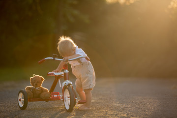 Cute toddler child, boy, playing with tricycle in backyard on sunset