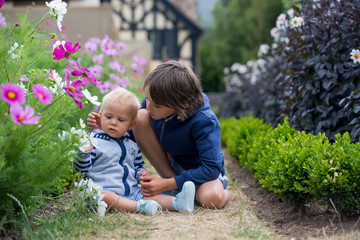 Beautiful child in amazing flower garden